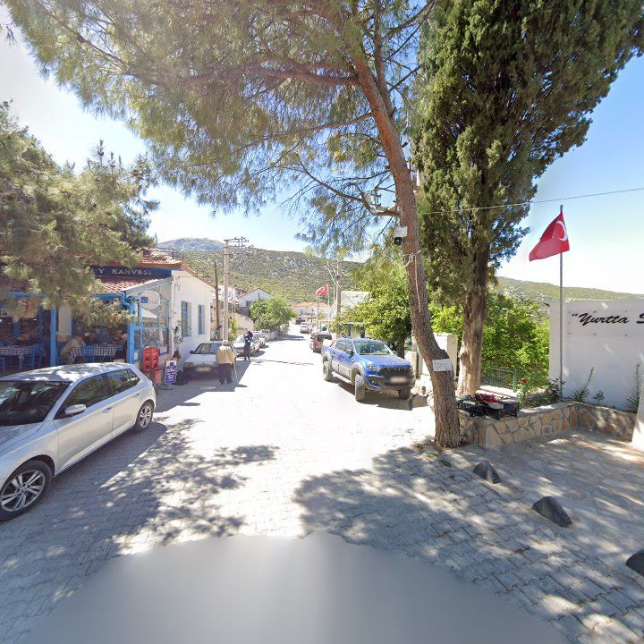 Fotoğraf 9