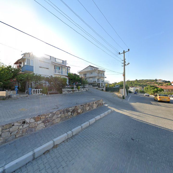 Fotoğraf 10