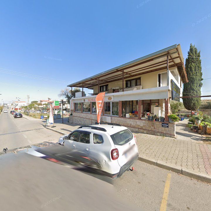 Fotoğraf 7