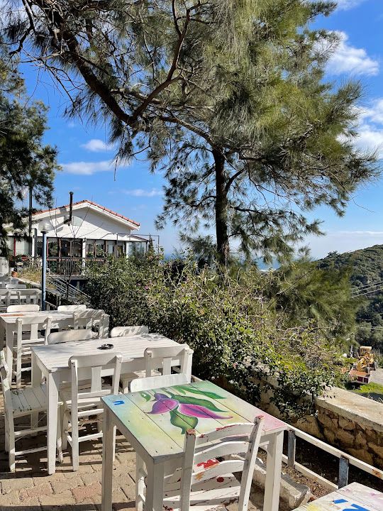 Nergis Cafe