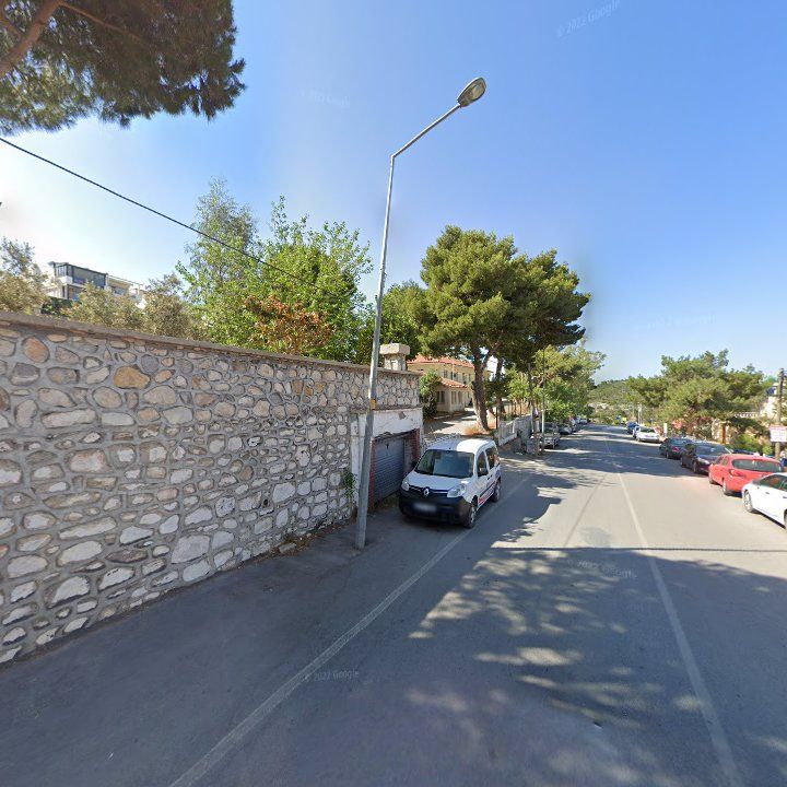 Fotoğraf 9