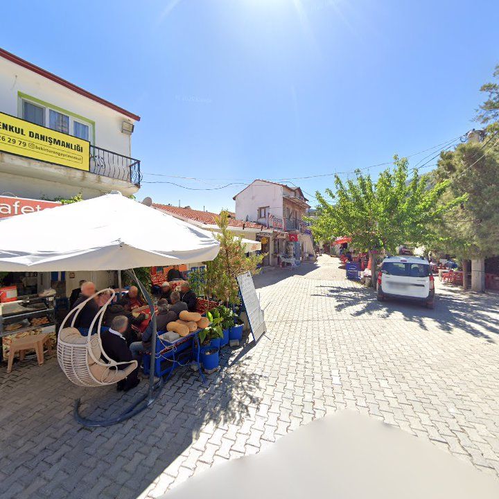 Fotoğraf 7