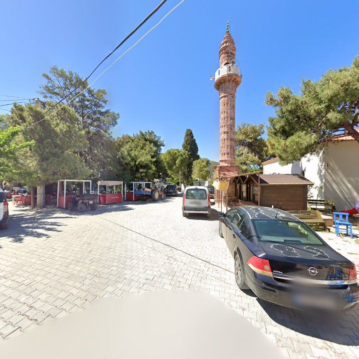 Fotoğraf 8