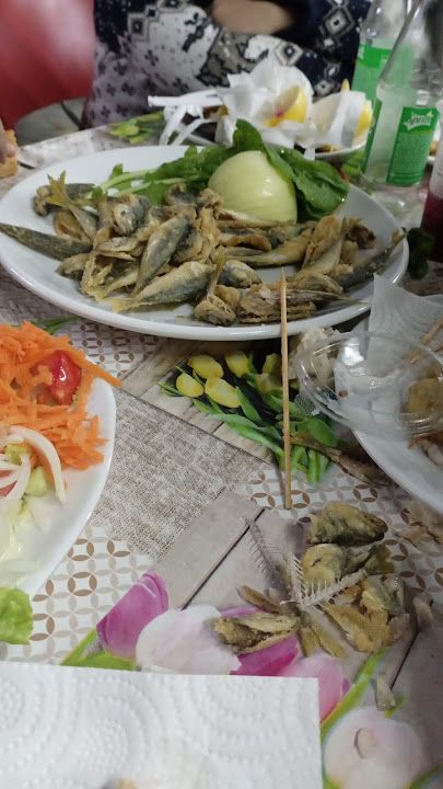 Fotoğraf 19