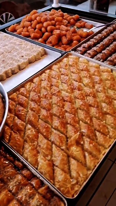 Fotoğraf 15