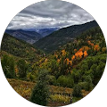 Karadeniz