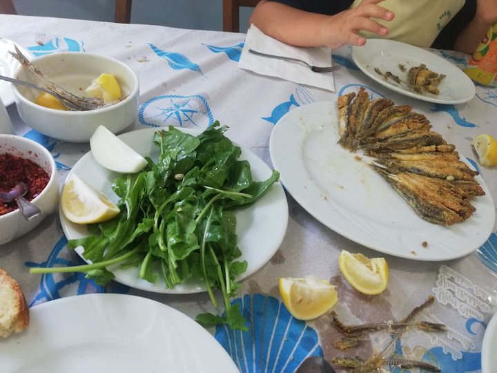 Fotoğraf 25