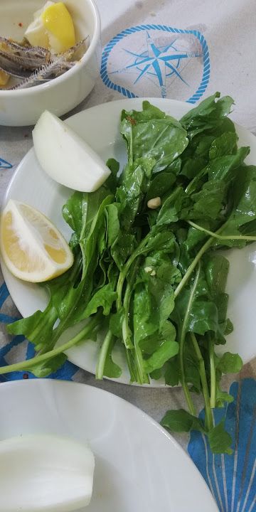 Fotoğraf 24