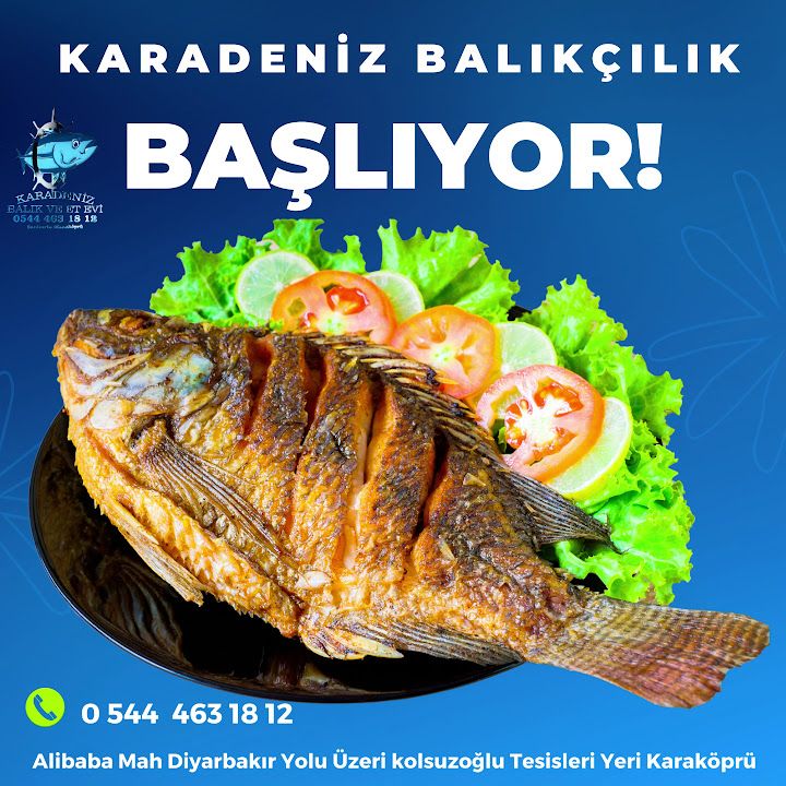 Fotoğraf 12