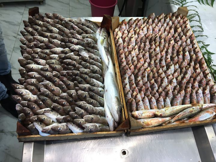 Fotoğraf 21