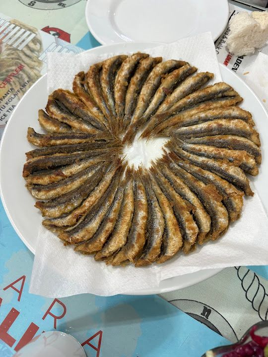 Fotoğraf 11