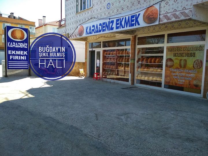 Fotoğraf 18