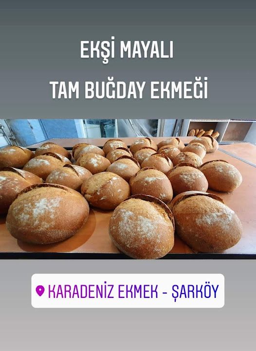 Fotoğraf 19