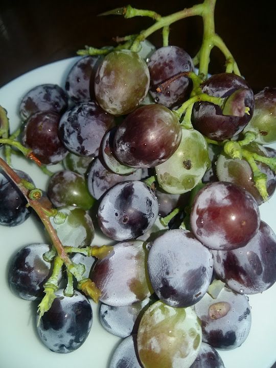 Fotoğraf 21
