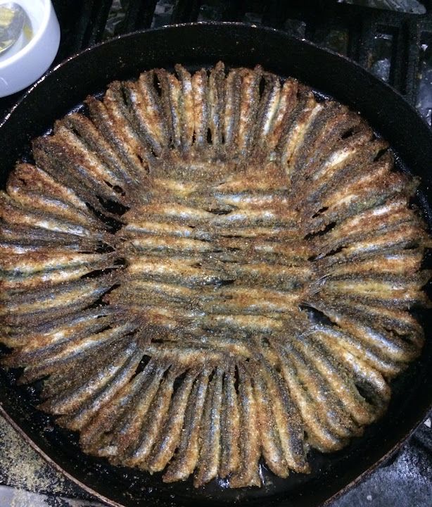 Fotoğraf 24