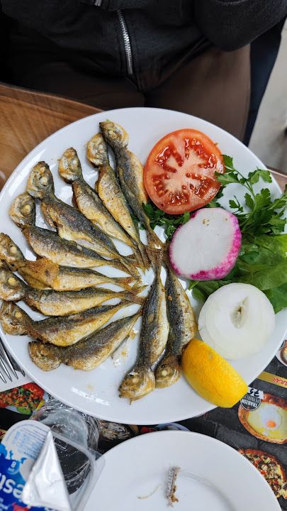 Fotoğraf 17