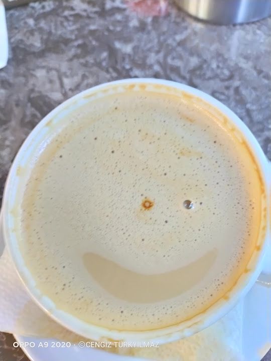 Fotoğraf 15