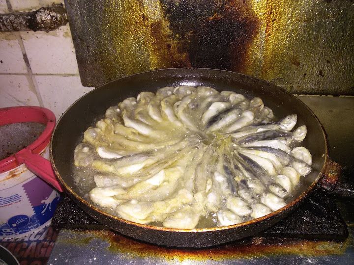 Fotoğraf 43