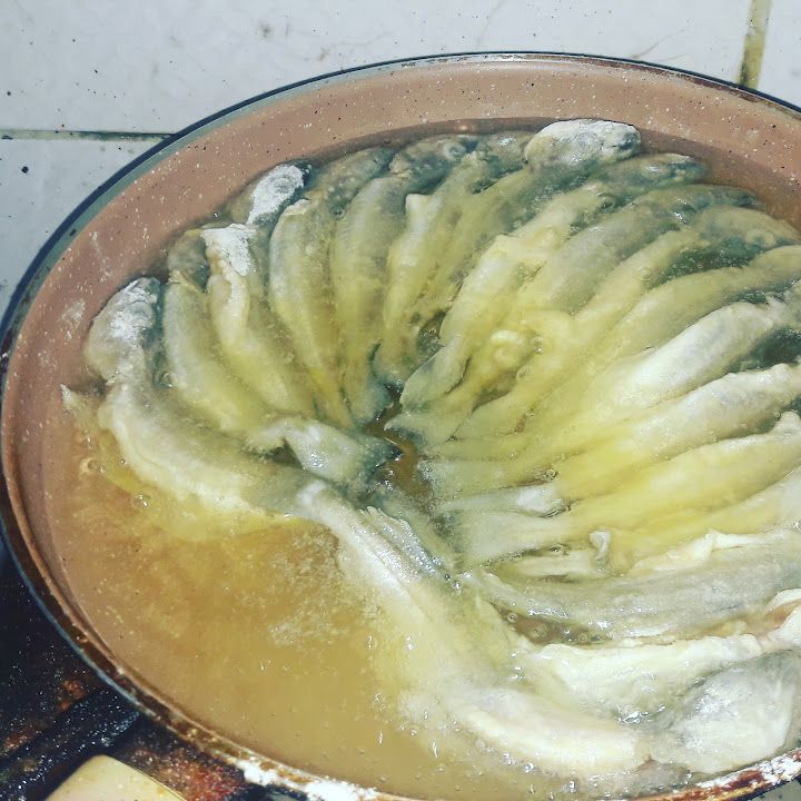 Fotoğraf 44