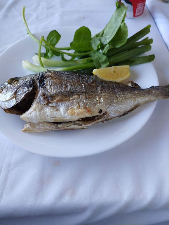 Fotoğraf 18
