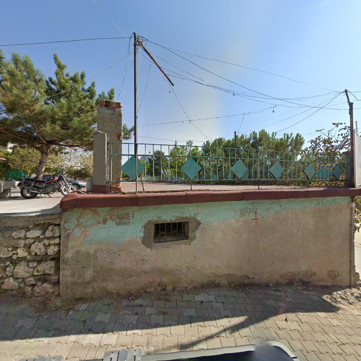 Fotoğraf 3