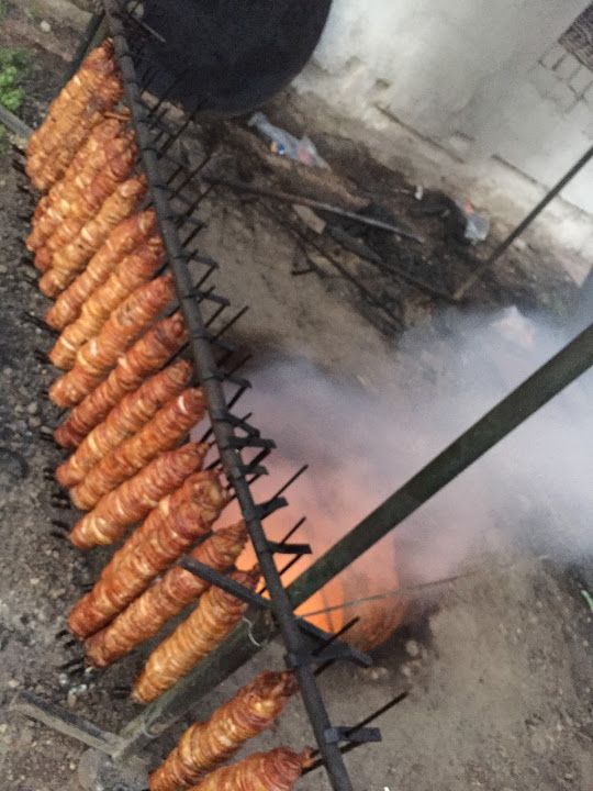 Fotoğraf 13