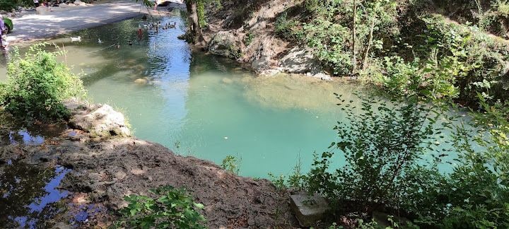 Yorum fotoğrafı 4