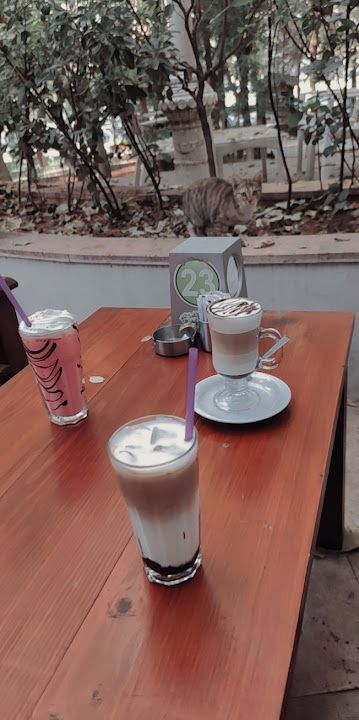 Fotoğraf 16