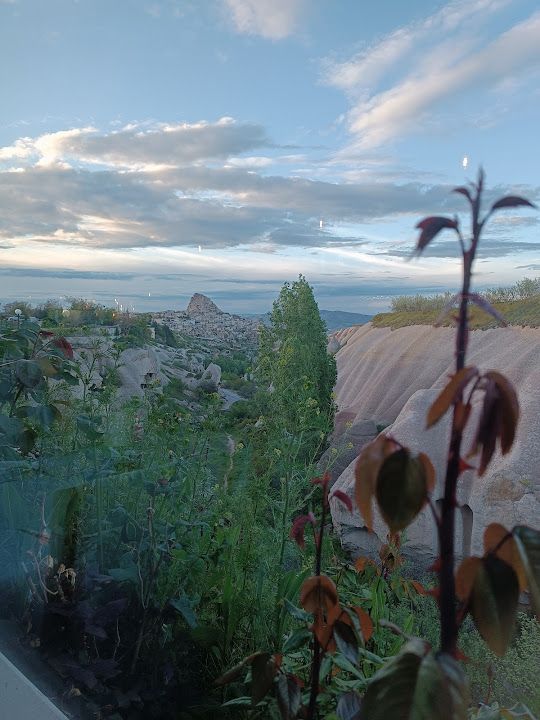 Fotoğraf 35