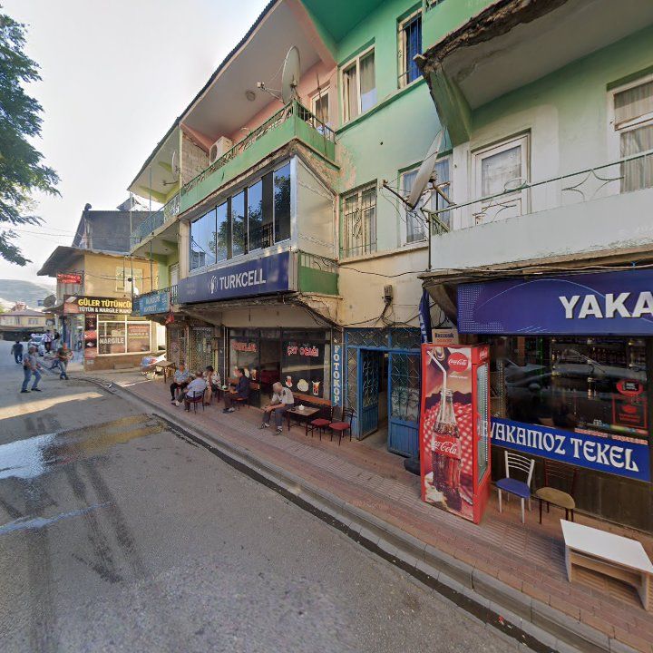 Fotoğraf 7