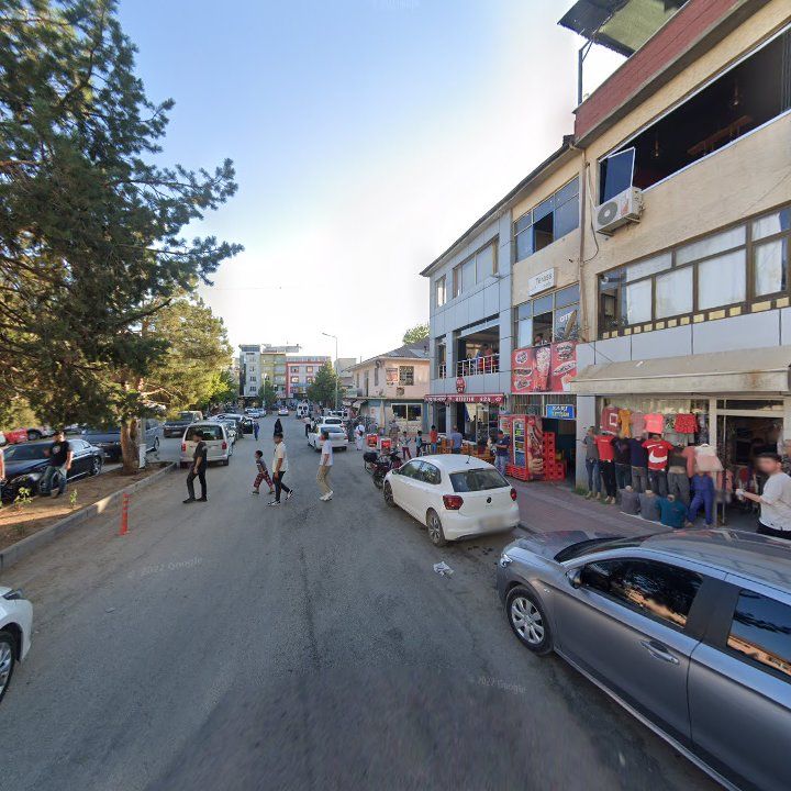 Fotoğraf 7