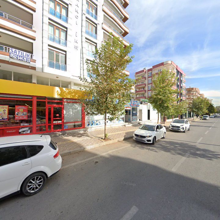 Fotoğraf 10