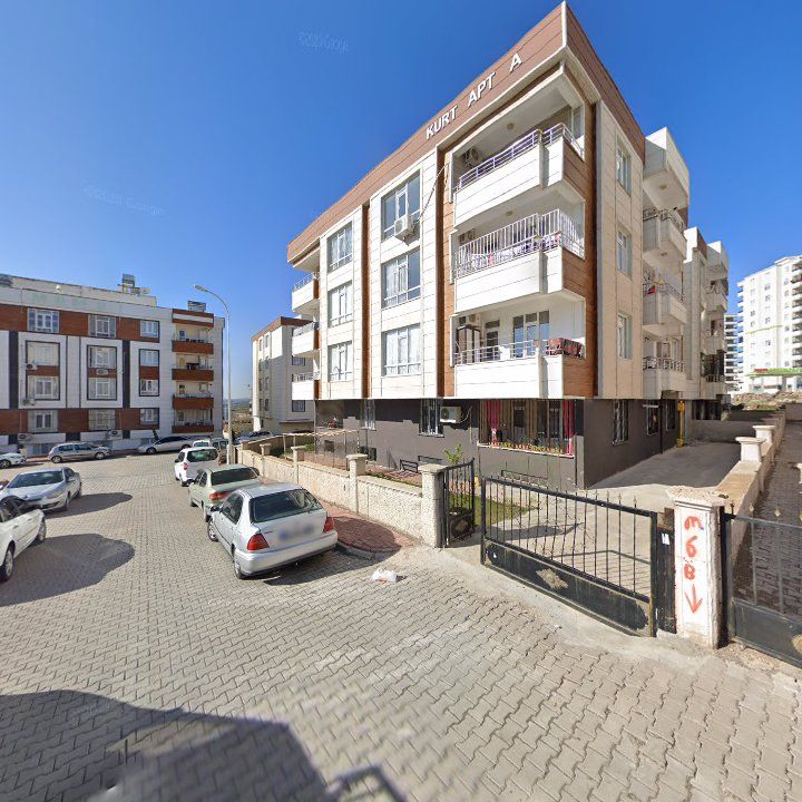 Fotoğraf 3