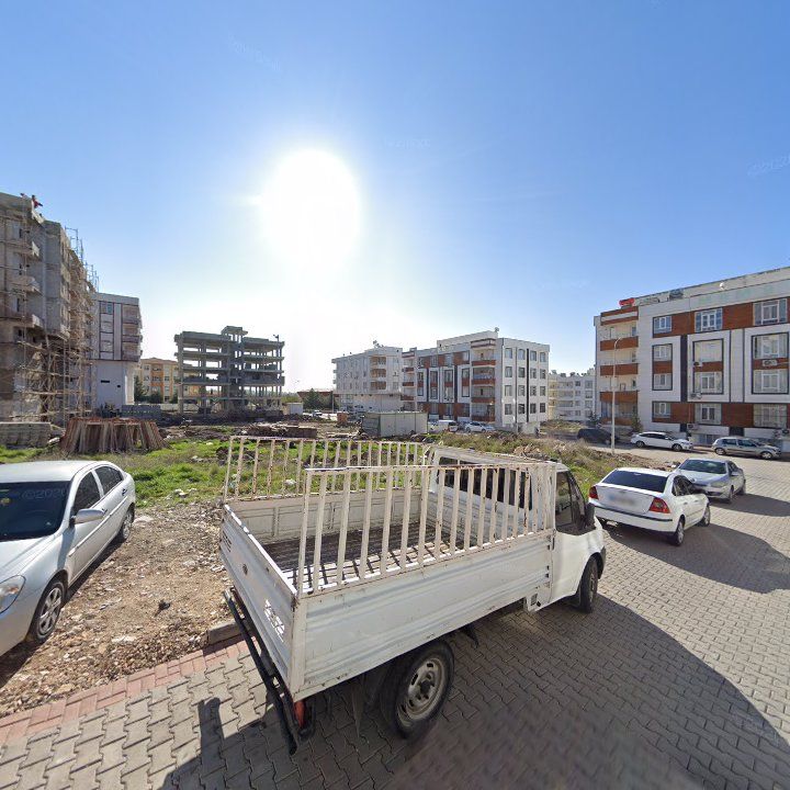 Fotoğraf 6