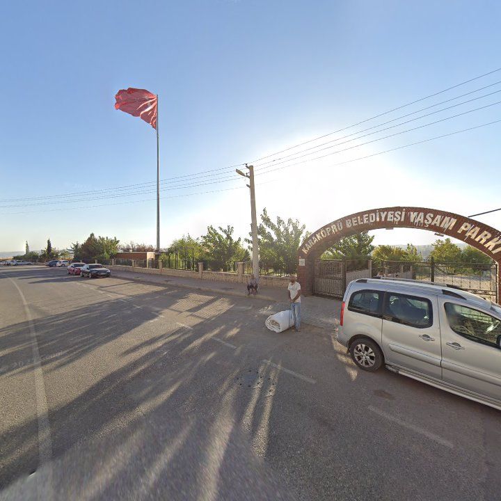 Fotoğraf 8