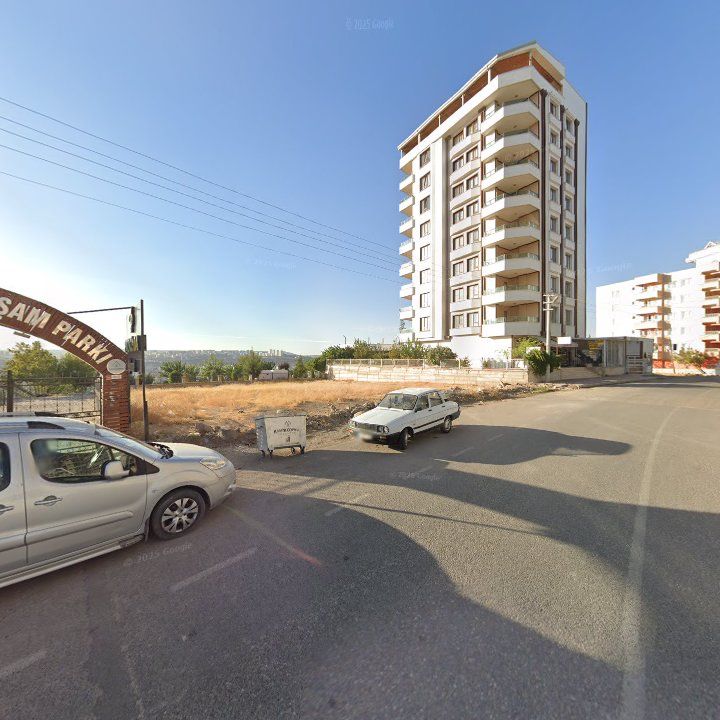 Fotoğraf 9