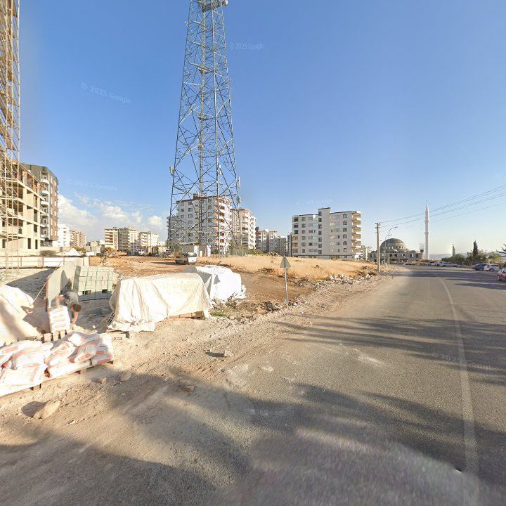 Fotoğraf 7