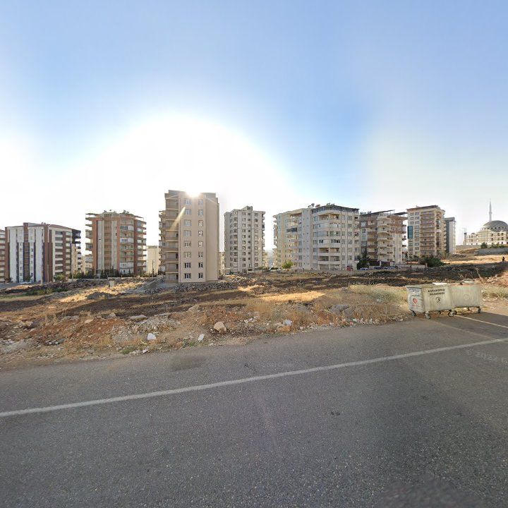 Fotoğraf 9