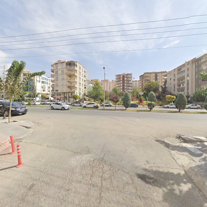 Fotoğraf 12