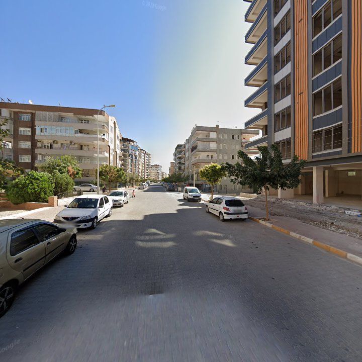 Fotoğraf 8