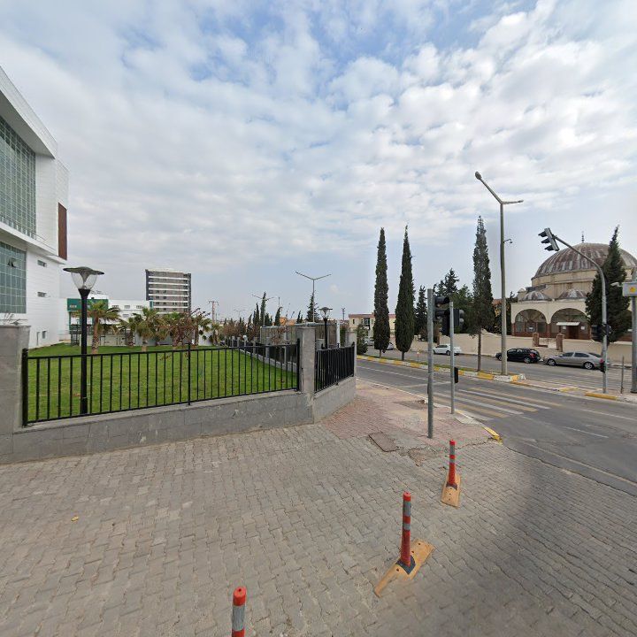 Fotoğraf 6