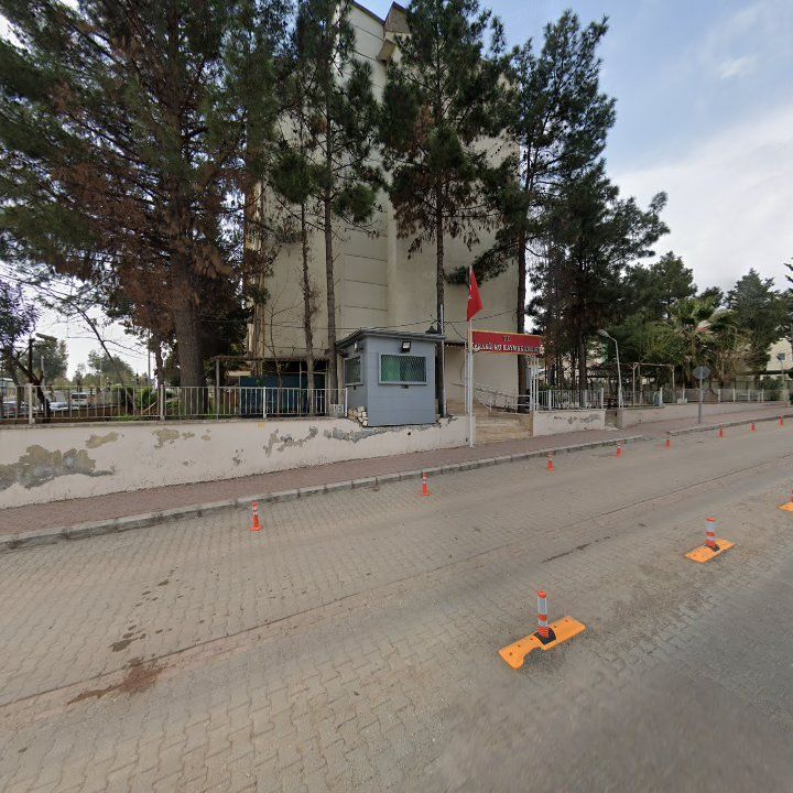 Fotoğraf 8