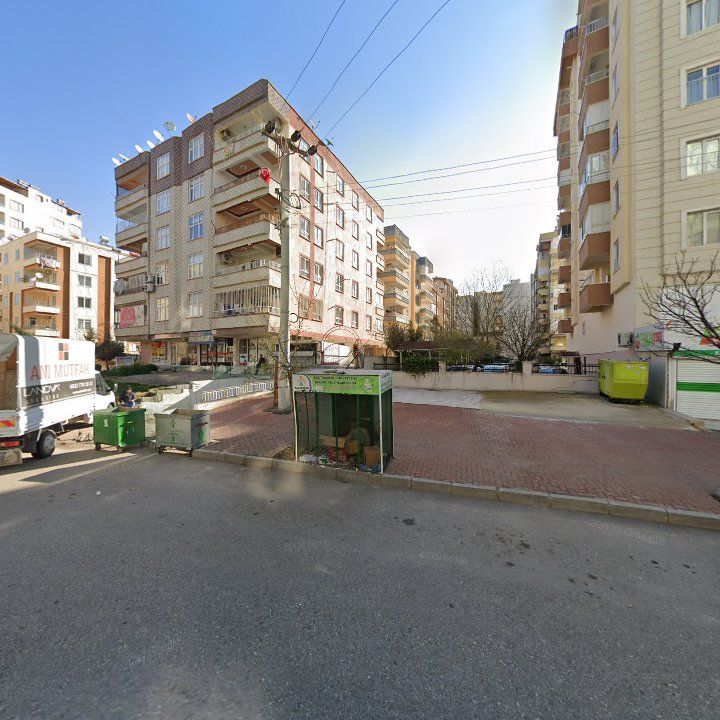 Fotoğraf 3