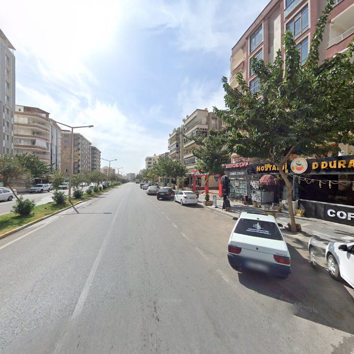 Fotoğraf 11