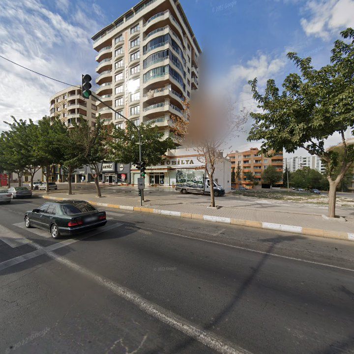 Fotoğraf 7