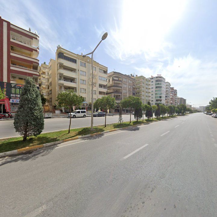 Fotoğraf 10