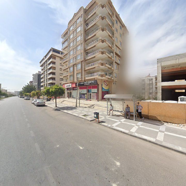 Fotoğraf 11