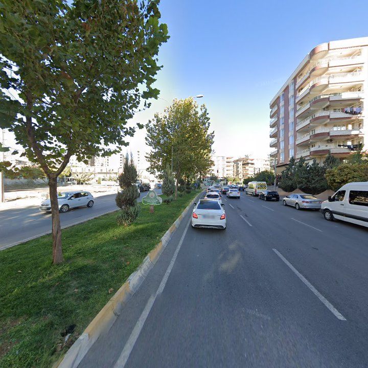 Fotoğraf 11