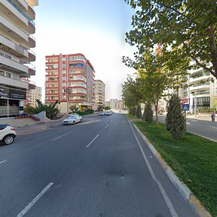 Fotoğraf 9