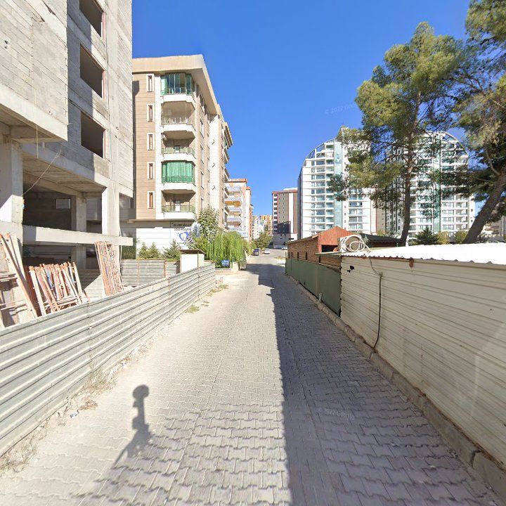 Fotoğraf 12